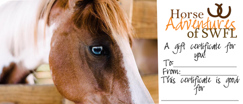 Gift Certificate