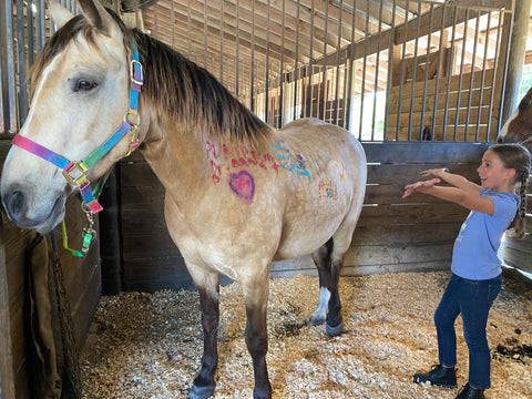 Summer Break Horse Camp- 3 day
