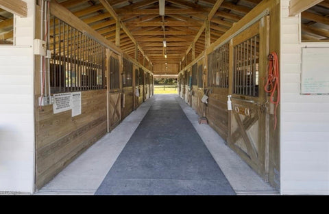 Horse Boarding